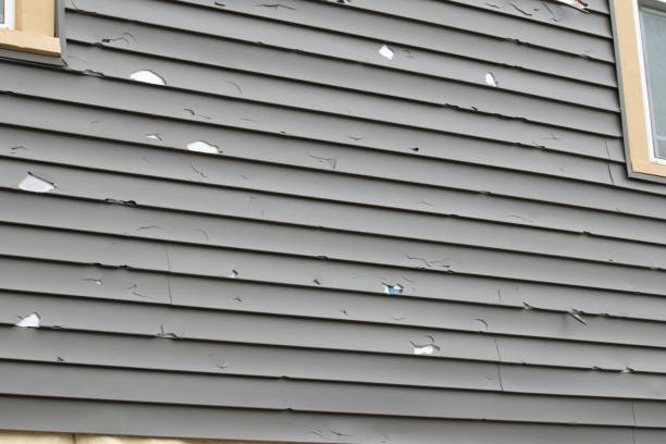 Reliable Citronelle, AL Siding Solutions